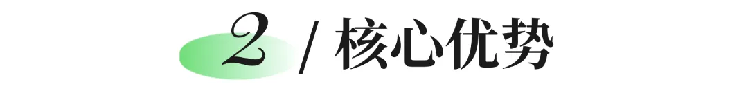核心优势